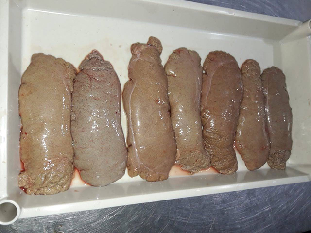 image of Female roe of carp